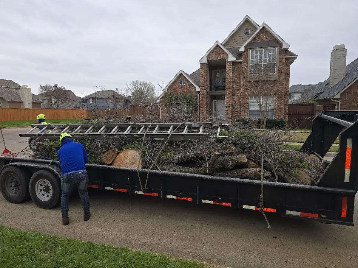 Expert Lot Clearing with proper safety equipment in Fox